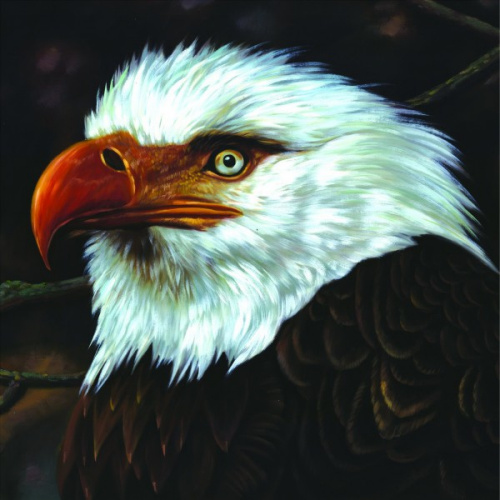 MOGWAI - HAWK IS HOWLINGMOGWAI HAWK IS HOWLING.jpg